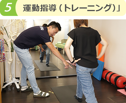 運動指導(トレーニング)